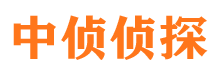 桃源侦探公司